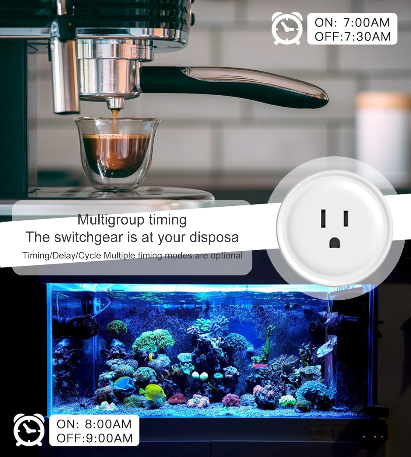 Tuya WiFi US Round 10A Smart P - đánh giá và giá Smart Home Web