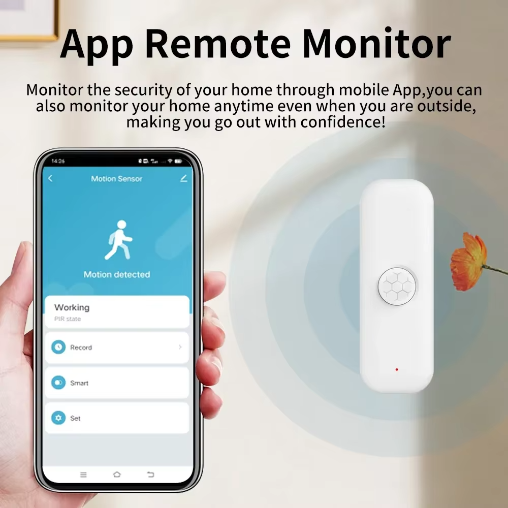Tuya WiFI PIR Motion Sensor Sm - đánh giá và giá Smart Home Web