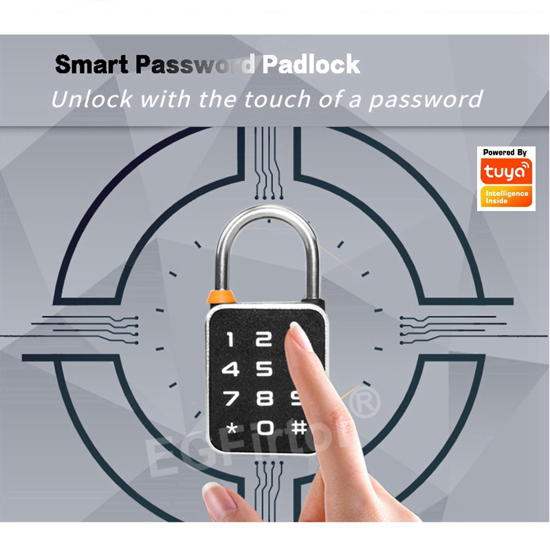 Tuya Bluetooth APP Password Co - đánh giá và giá Smart Home Lock