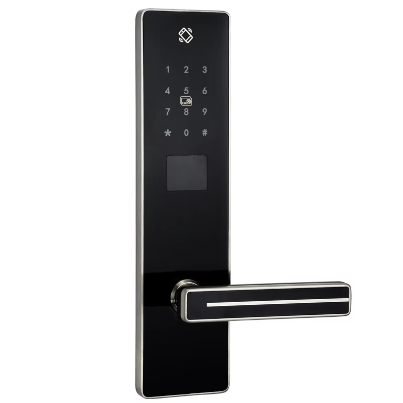 Keyless Keypad Entry Smart Doo - đánh giá và giá Smart Home Lock